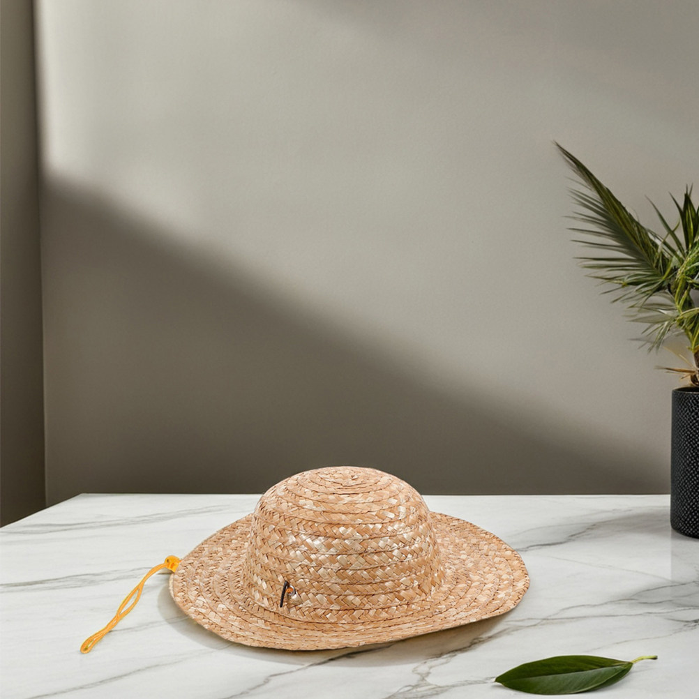 2 stuks kinderstrohoed, natuur - Sun Hat Wide Brim recensie en prijs